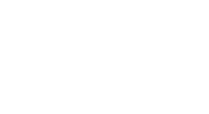 logo Budros